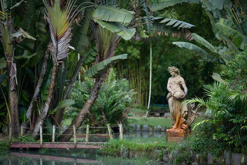 Jardin Botanico Rio de Janeiro