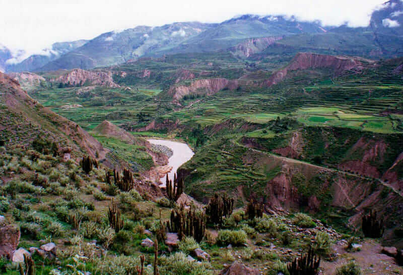 Lugares turisticos de Arequipa Colca
