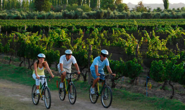 bacchus wine tours bike mendoza reviews