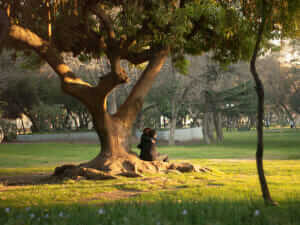 Barrio Lastarria Parque Forestal