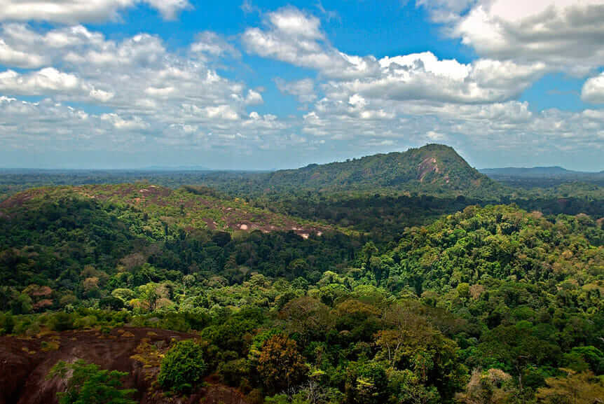 Selva Amazónica. Licencia Creative Commons por Daveness_98.
