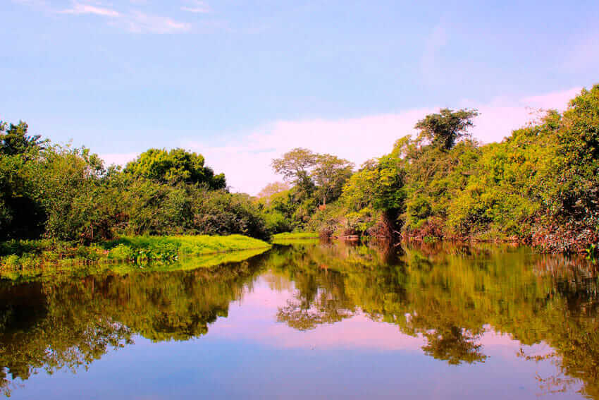 Lugares Latinoamerica Pantanal