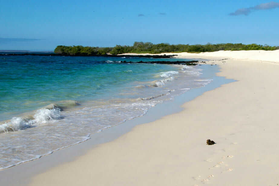 Mejores playas de Ecuador Galapagos