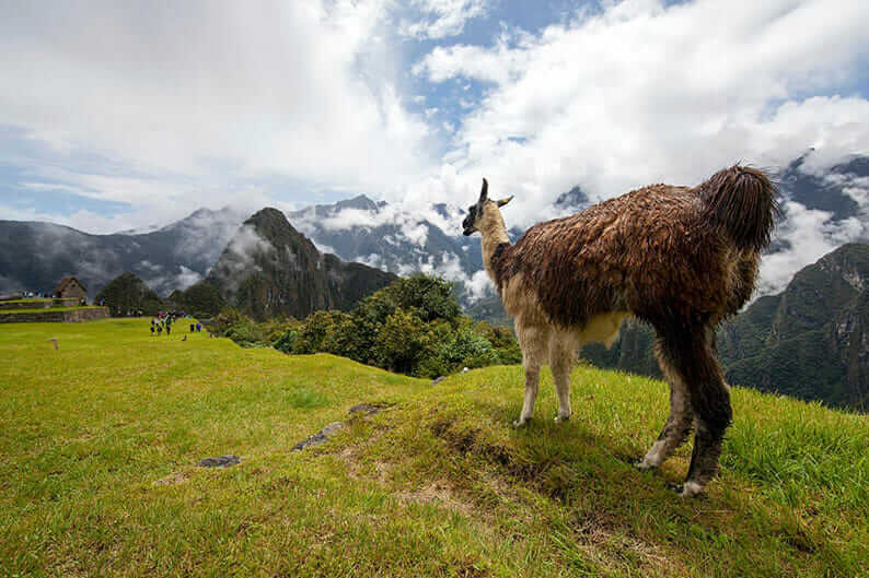 Viajes a Peru Machu Picchu