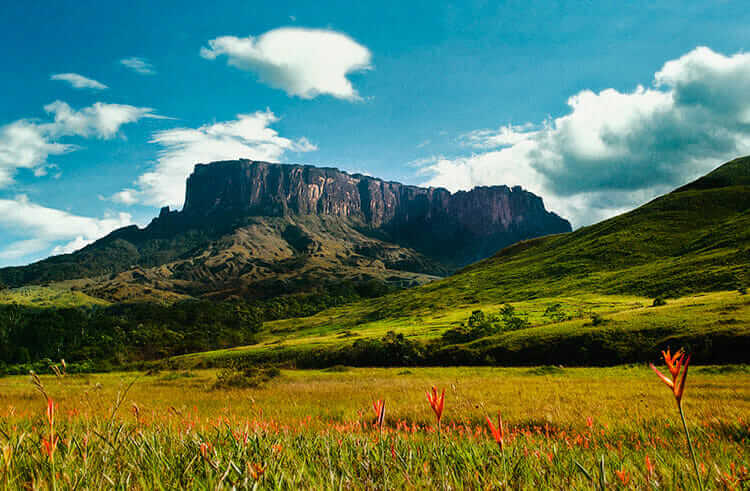 Parques  nacionales de Venezuela Canaima