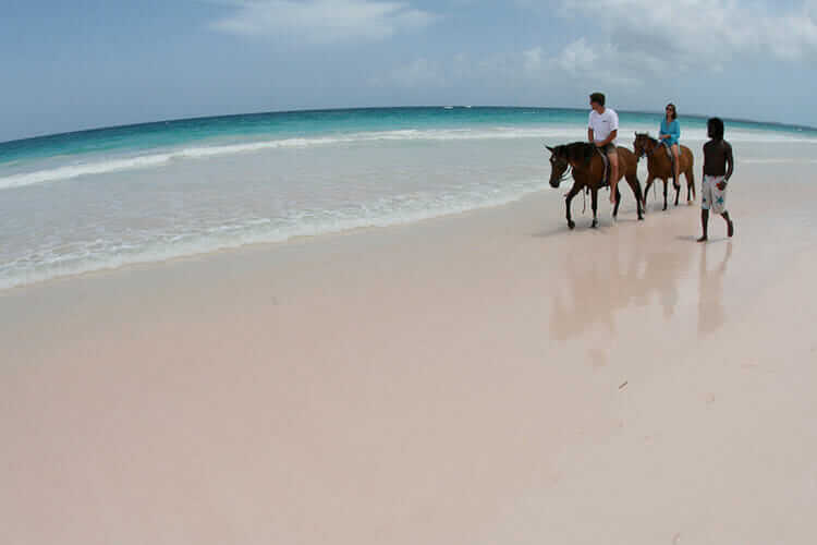 Playas del Caribe Pink Sand Beach