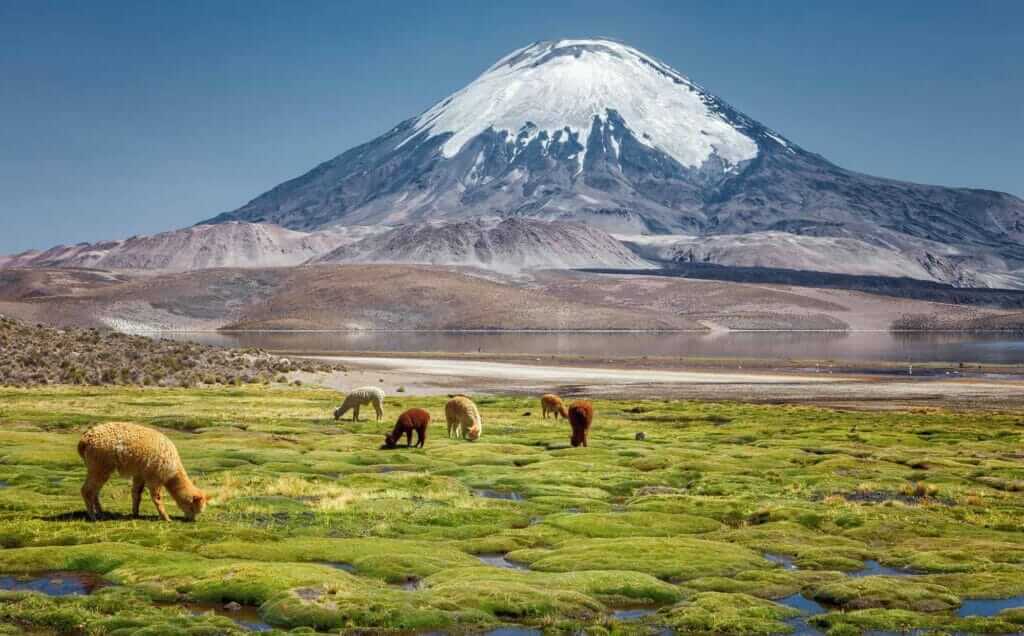 Volcan Parinacota y lago Chungara