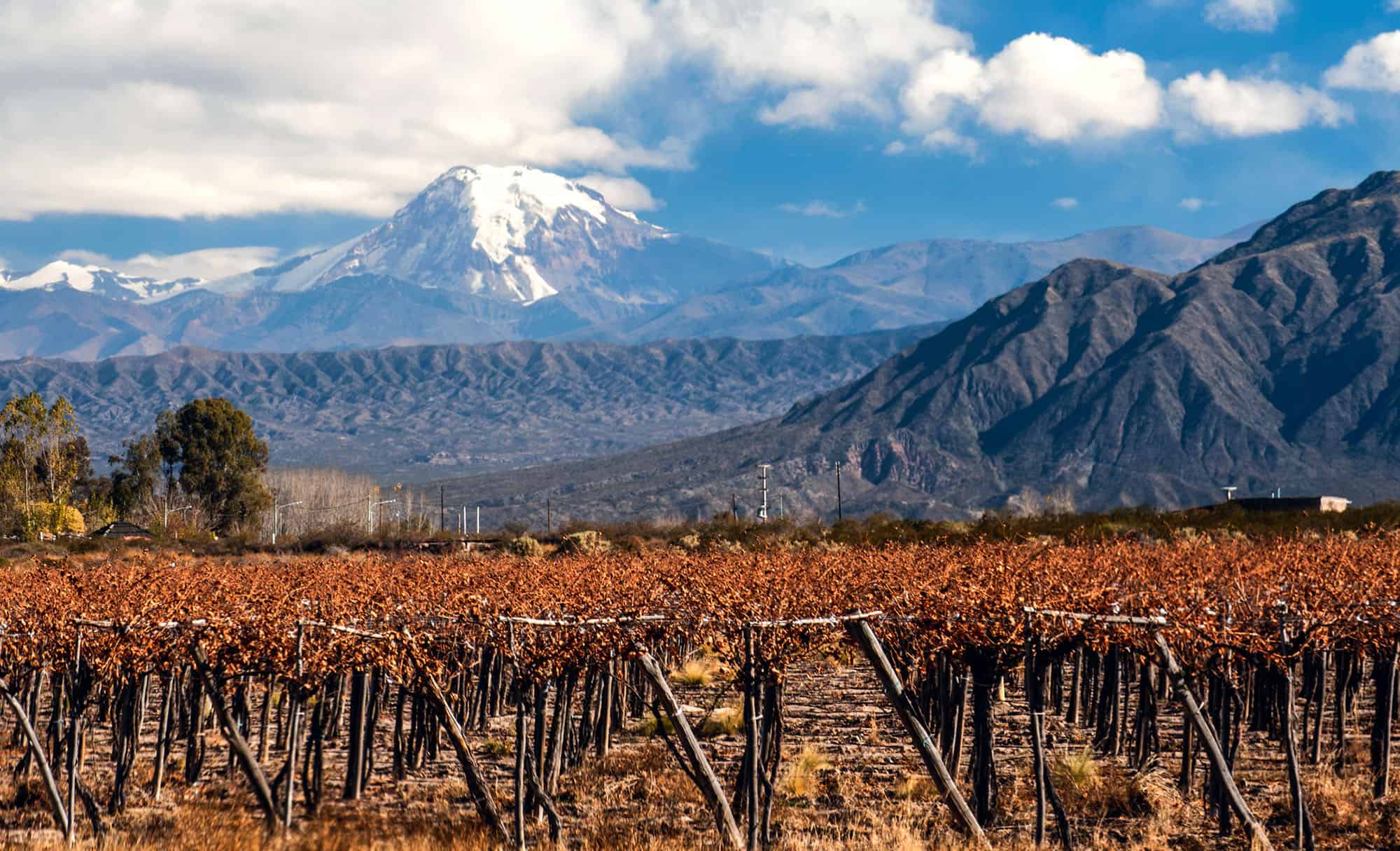 wine tour mendoza argentina