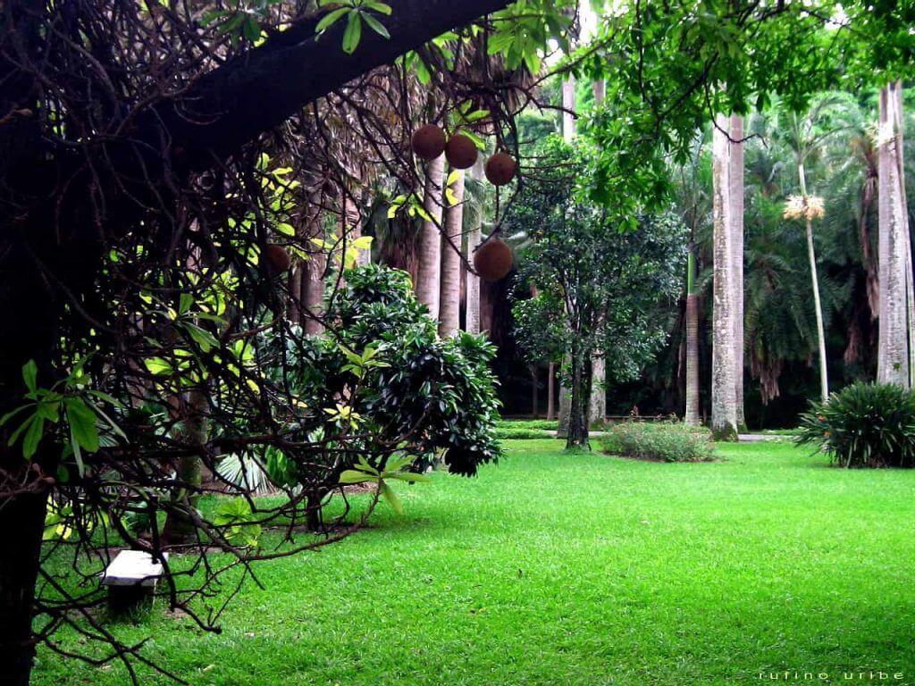Jardín Botanico de Caracas